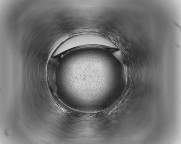 X0000095510148200712281445