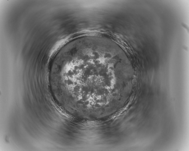 X0000095510149200712281445