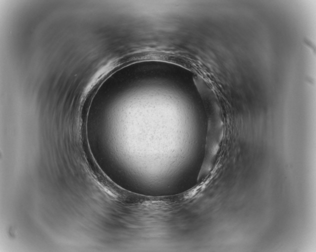 X0000095510150200712281445