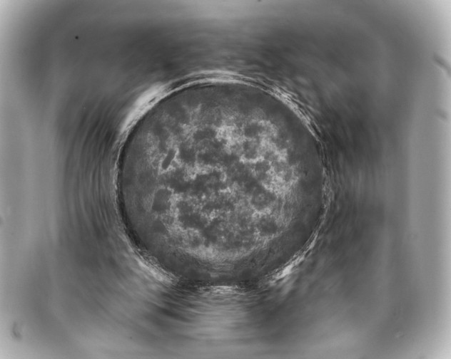 X0000095510151200712281445