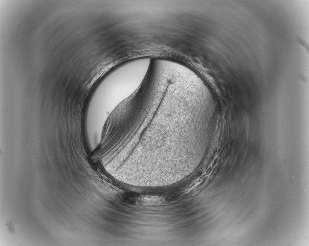 X0000095510154200712281445