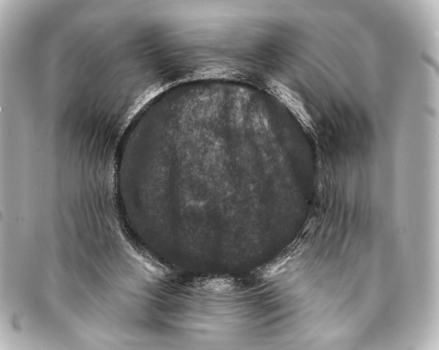 X0000095510156200712281445
