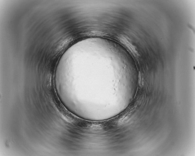 X0000095510157200712281445