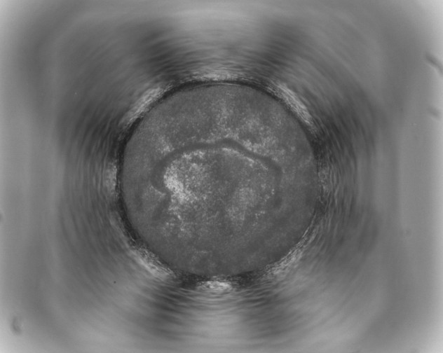 X0000095510159200712281445