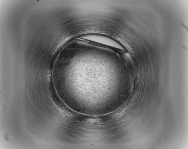 X0000095510160200712281445