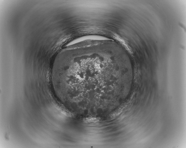 X0000095510161200712281445