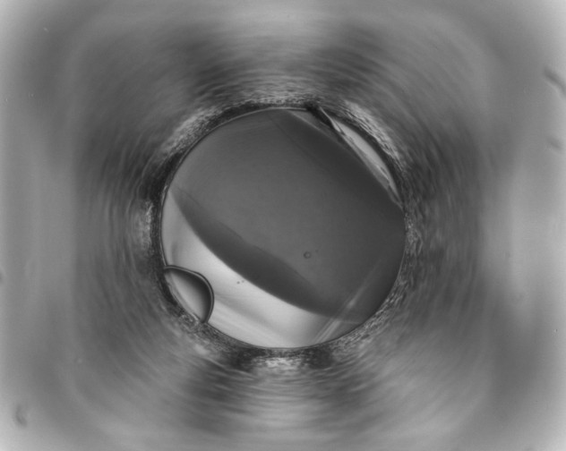 X0000095510163200712281445