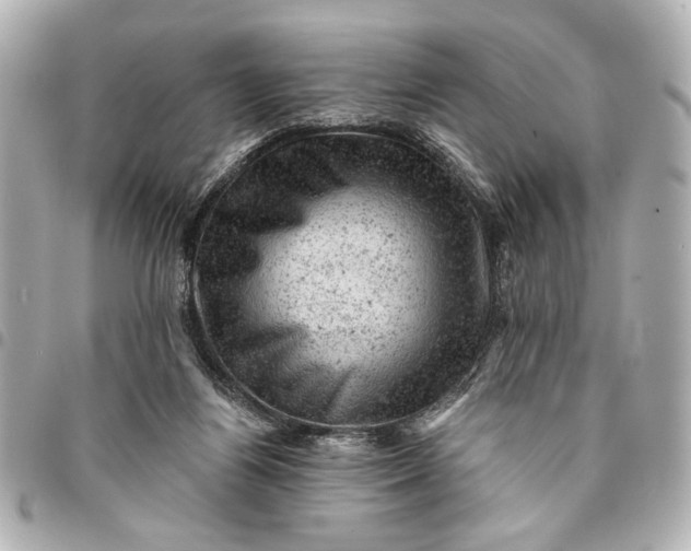 X0000095510164200712281445