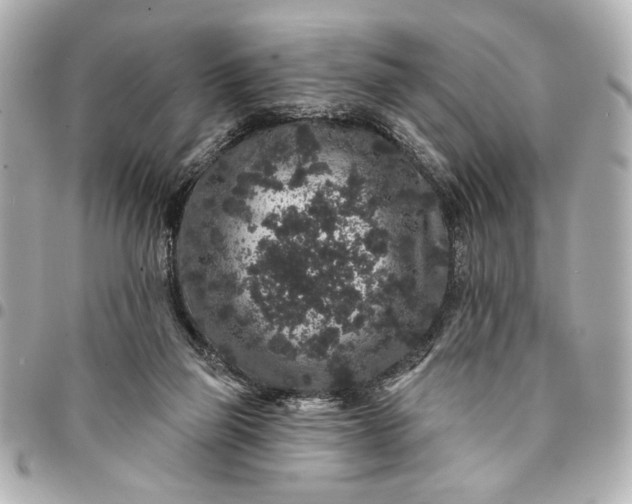 X0000095510165200712281445