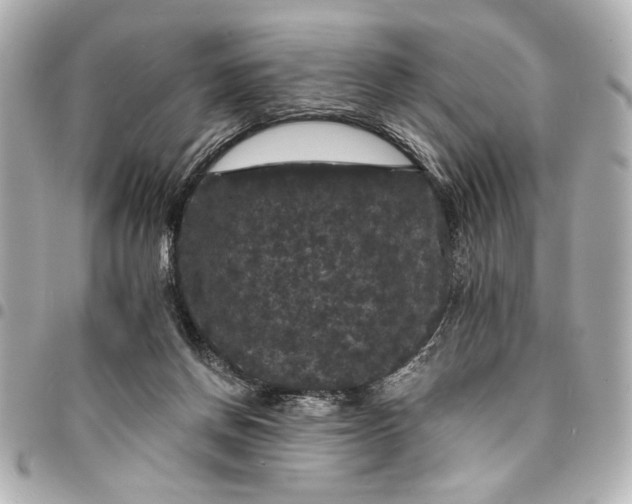 X0000095510166200712281445