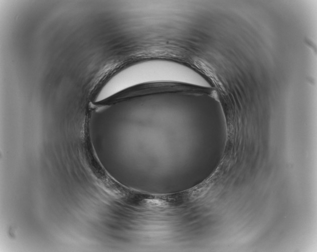 X0000095510167200712281445