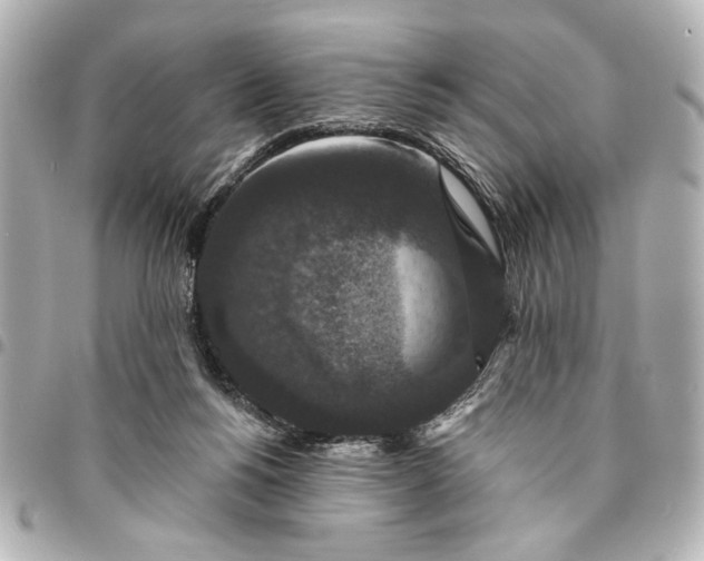 X0000095510168200712281445