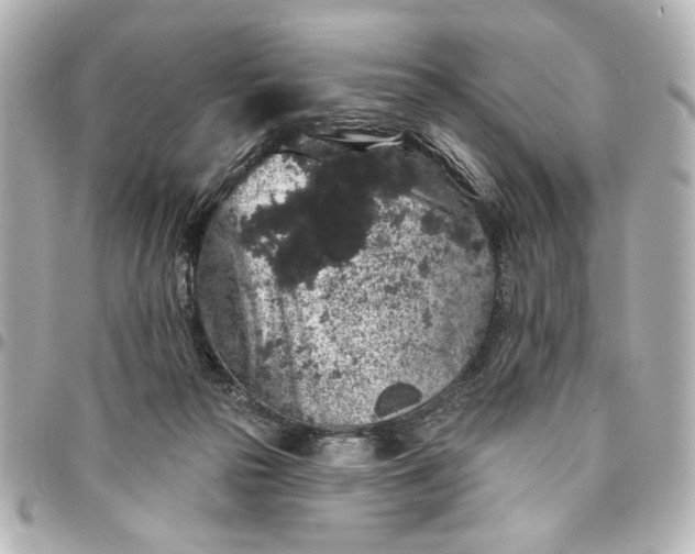 X0000095510169200712281445