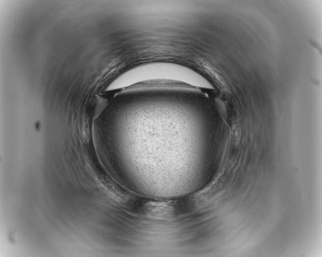 X0000095510170200712281445