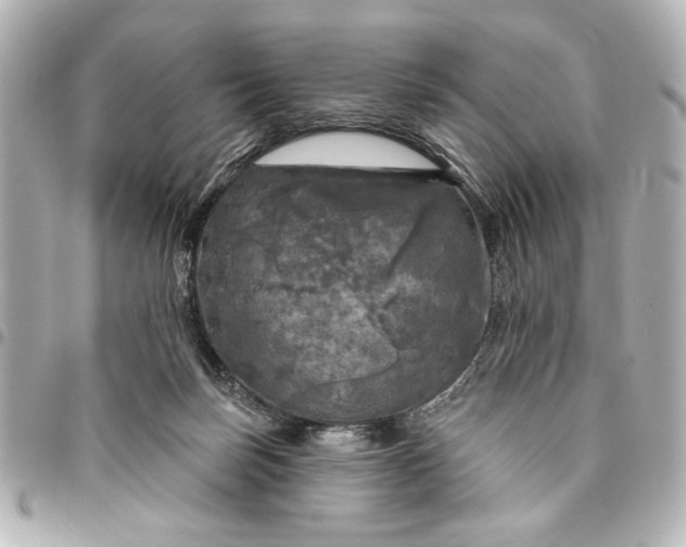 X0000095510171200712281446