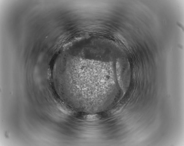X0000095510173200712281446