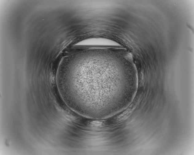 X0000095510176200712281446