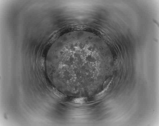 X0000095510178200712281446