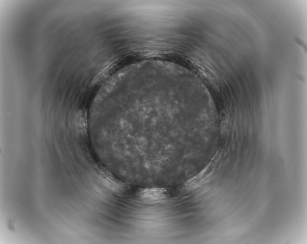 X0000095510179200712281446