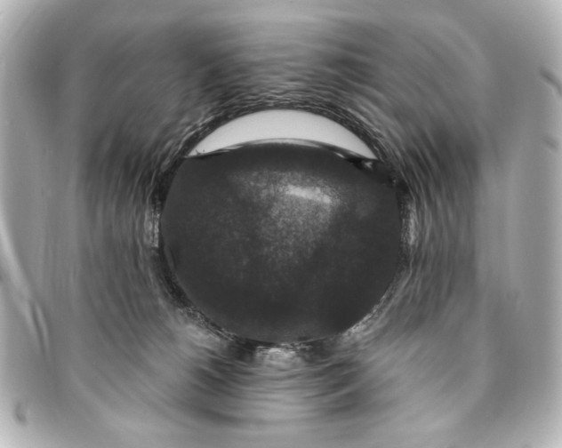 X0000095510180200712281446