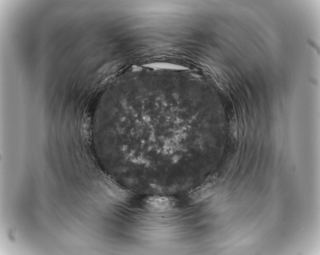 X0000095510181200712281446
