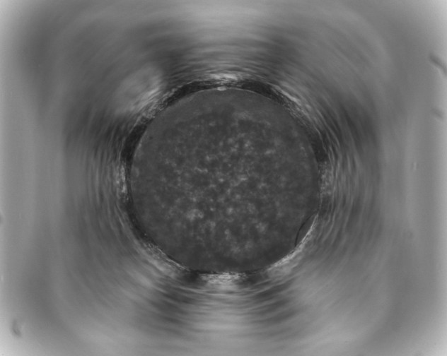 X0000095510182200712281446