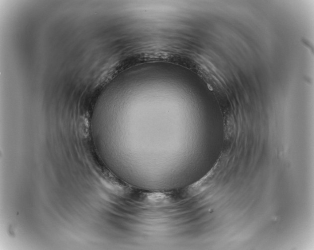 X0000095510183200712281446