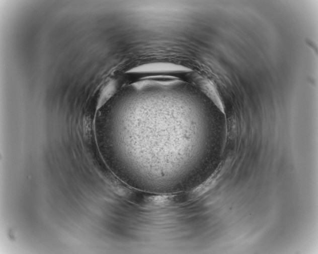 X0000095510184200712281446