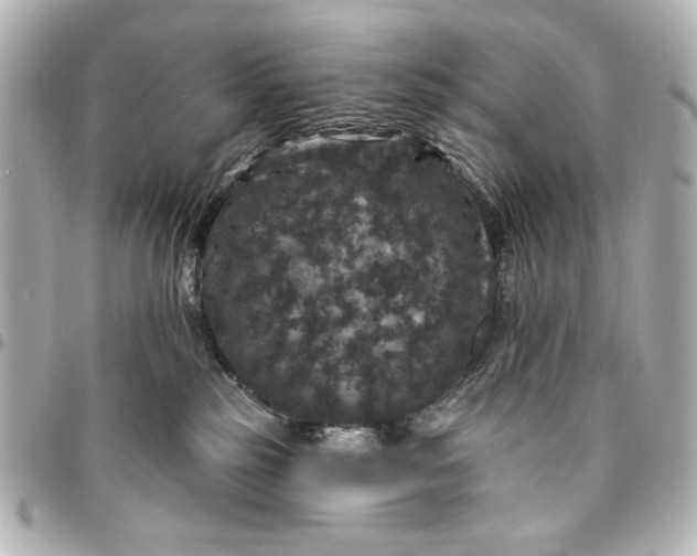 X0000095510185200712281446