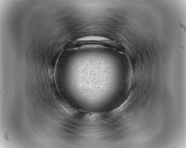 X0000095510186200712281446
