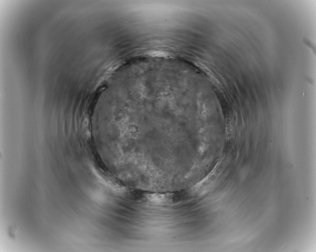 X0000095510187200712281446