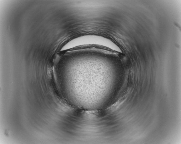 X0000095510188200712281446