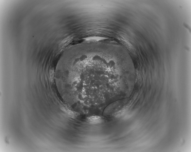 X0000095510189200712281446