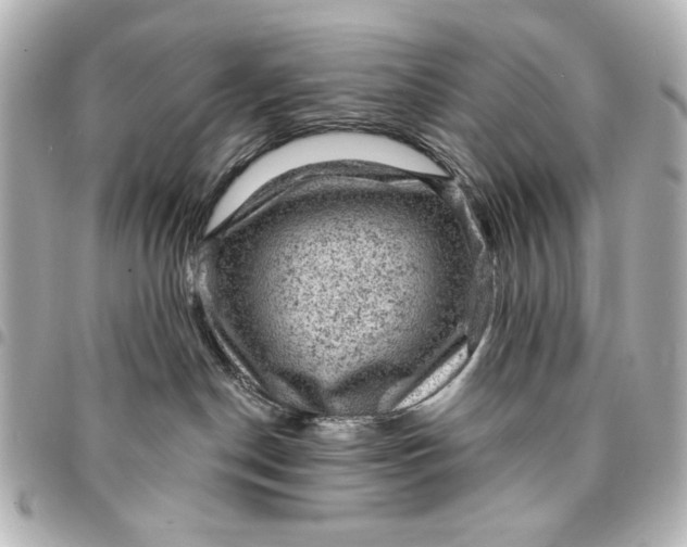 X0000095510190200712281446