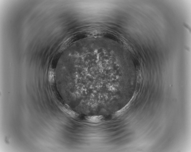 X0000095510191200712281446
