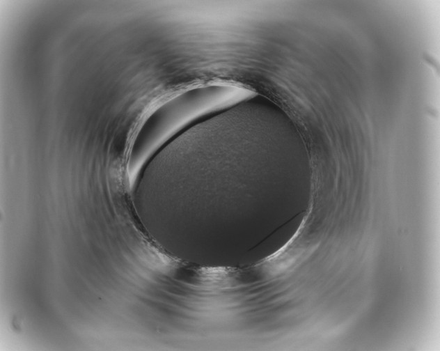 X0000095510192200712281446
