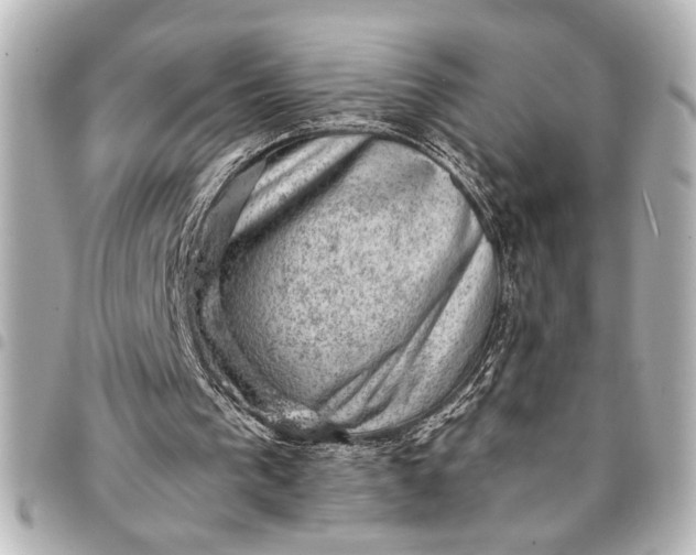 X0000095510193200712281445