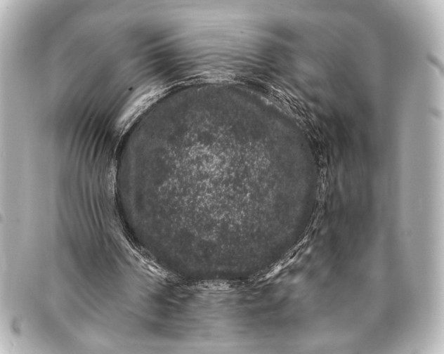 X0000095510194200712281445