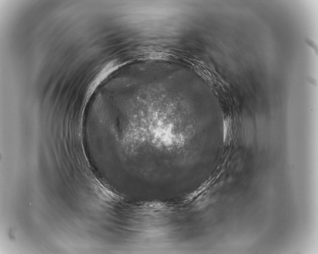 X0000095510195200712281445