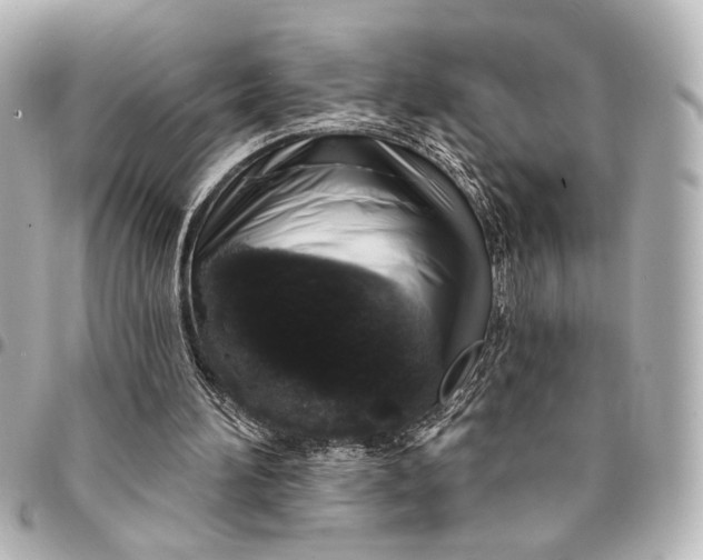 X0000095510196200712281445