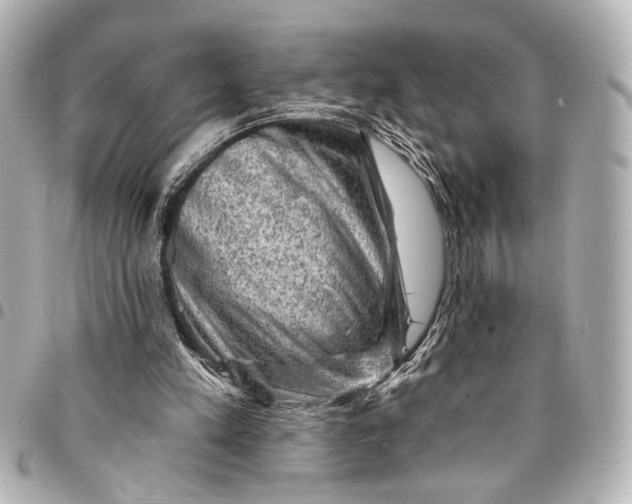 X0000095510197200712281445