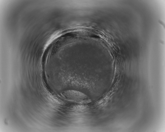 X0000095510198200712281445