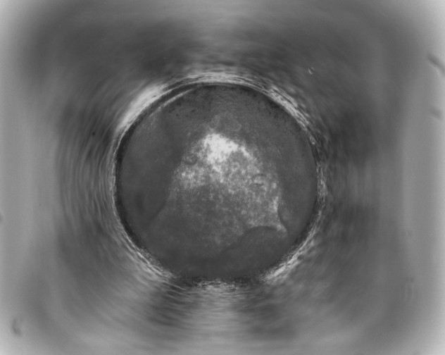 X0000095510199200712281445