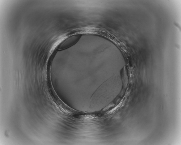 X0000095510200200712281445
