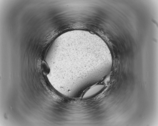 X0000095510201200712281445