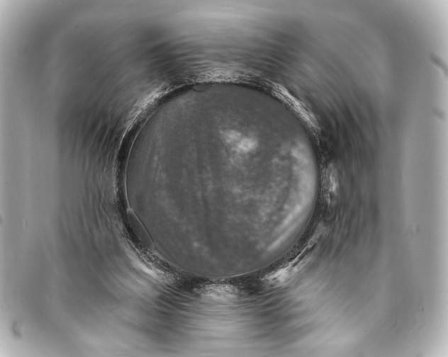 X0000095510203200712281445