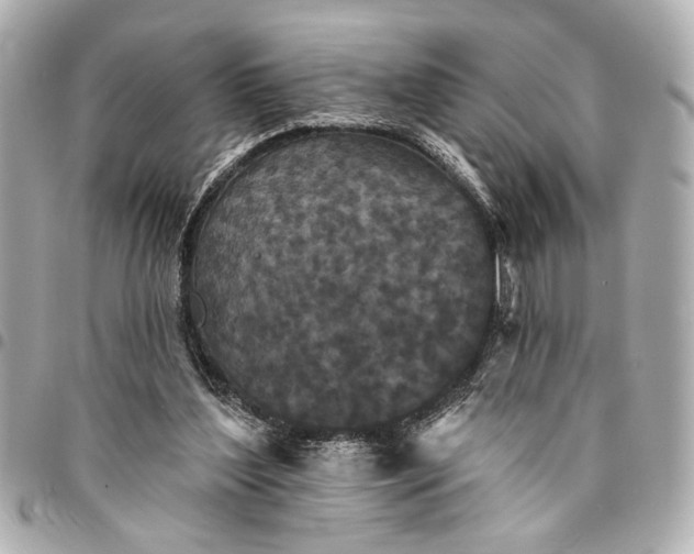 X0000095510204200712281445