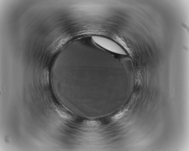 X0000095510205200712281445