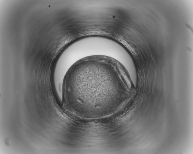 X0000095510207200712281445