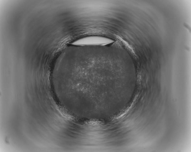 X0000095510209200712281445